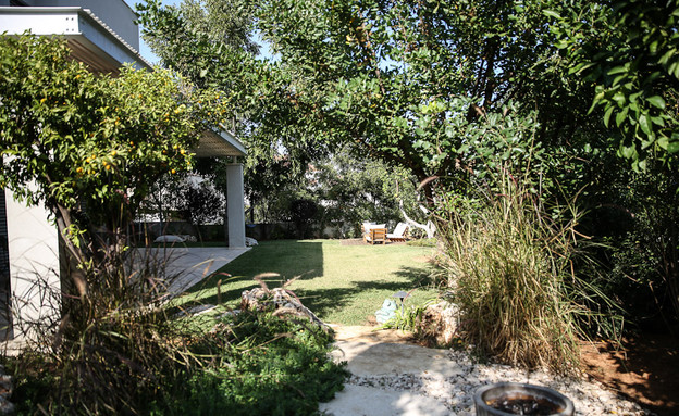 מירי דנקנר, חצר