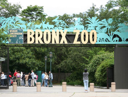 גן החיות של הברונקס, ניו יורק עם הילדים (צילום: אימג'בנק / Thinkstock)