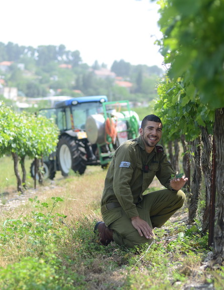 דוד פדידה (צילום: יעל שלח, עיתון "במחנה")