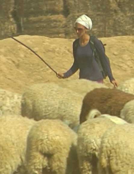 החקלאית שירן טסה עם הכבשים (צילום: חדשות 2)