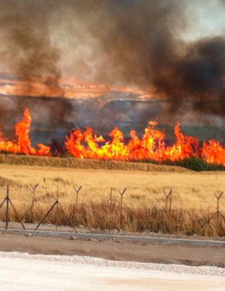 השריפה סמוך לגבול עם ירדן (צילום: פלג אמתון - סוכנות תצפית)
