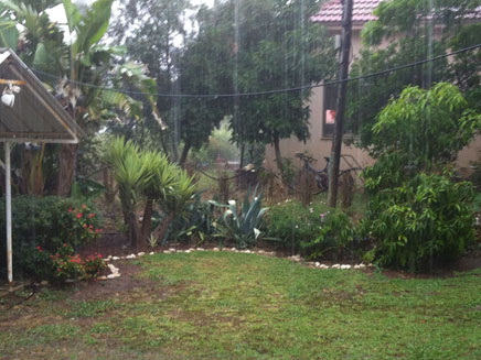 גשם גם בכפר חיטים (צילום: אלירן יוסף)