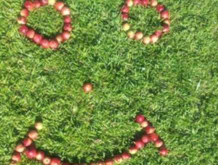 צחוק פירות על הדשא (צילום: האח הגדול)