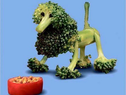 ירקות מחופשים, אריה