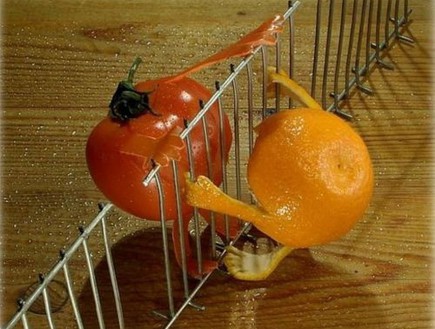 ירקות מחופשים, תפוז עגבנייה