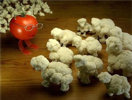 ירקות מחופשים, כרובית