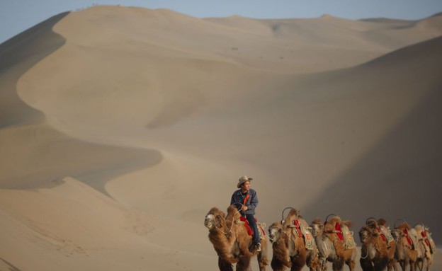 שיירת גמלים מקרוב, אגם בסין