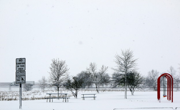 שלג בנברסקה (צילום: שי גל 2)