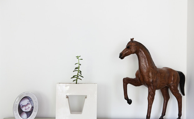 לימור מעוז אביב, סוס על מדף (צילום: הגר דופלט)