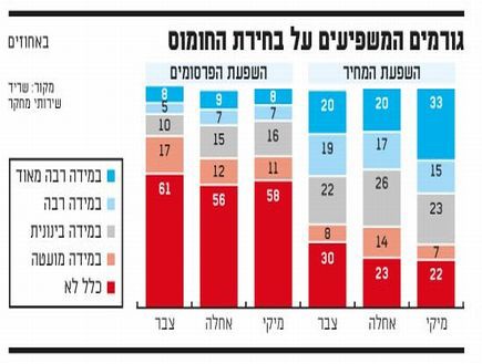 גורמים המשפיעים על בחירת החומוס (צילום: גלובס)