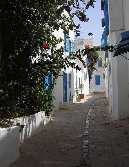 סמטה בסידי בו סעיד, תוניס צילום ויקיפדיה (צילום: ויקיפדיה)