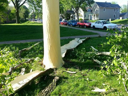עץ שהופשט מקליפתו על ידי ברק (צילום: huffingtonpost.com)