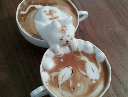 קצף קפה תלת מימדי - חתול ודגים (צילום: twitter.com/george_10g)