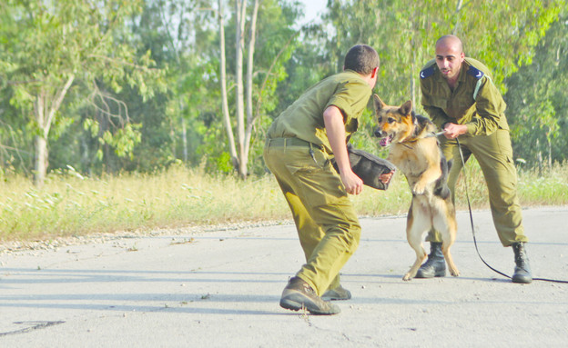 הגוריה של חיל האוויר (צילום: תם ביקלס, עיתון "במחנה")