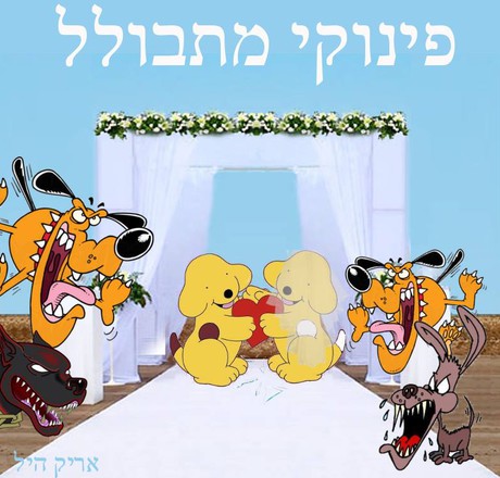 פינוקי מתבולל