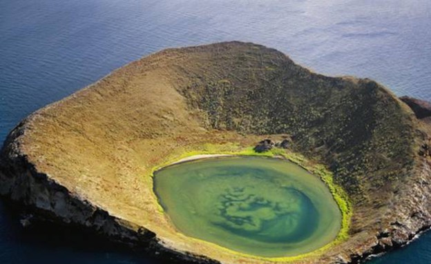 בעוד צבעים, ביינברידג'