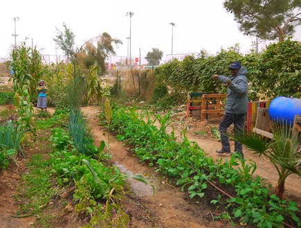 גינה קהילתית שבועת אדמה