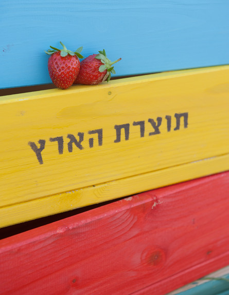 דנה ישראלי, ארגזים צבעים (צילום: דנה ישראלי)