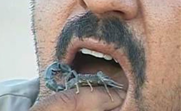 העיראקי שמכור לאכילת עקרבים