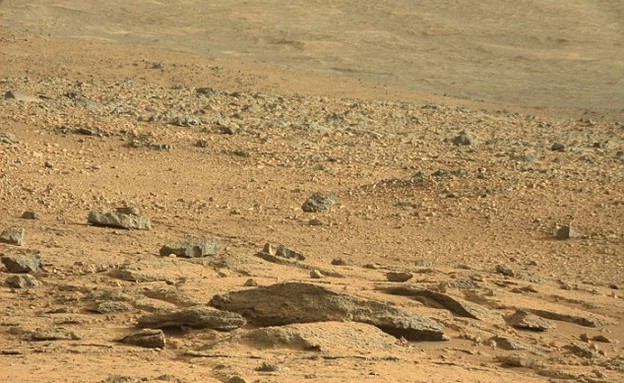 לטאה על מאדים