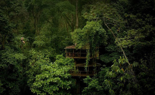 בית העץ, יער (צילום: fincabellavista.com)