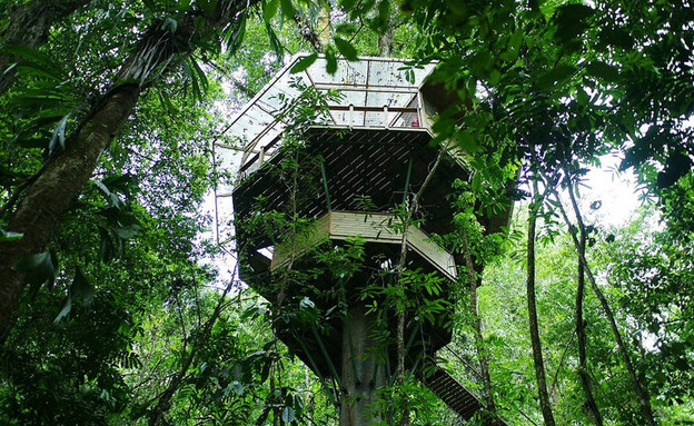 בית העץ, מעגל (צילום: fincabellavista.com)