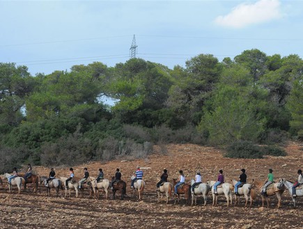 טיולי סוסים בחוות הרוכבים (צילום: באדיבות חוות הרוכבים)