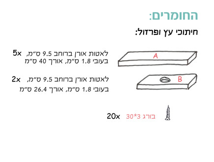 דנה ישראלי, הוראות 6 (צילום: דנה ישראלי)