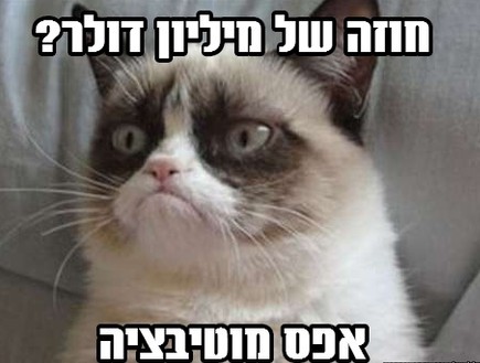 גראמפי קאט מם