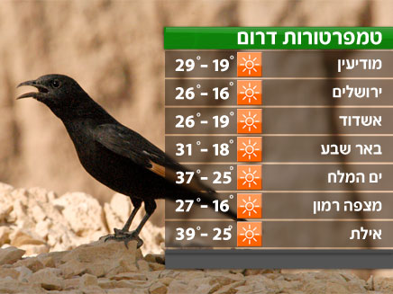 הטמפרטורות בדרום