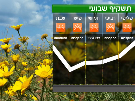 תשקיף