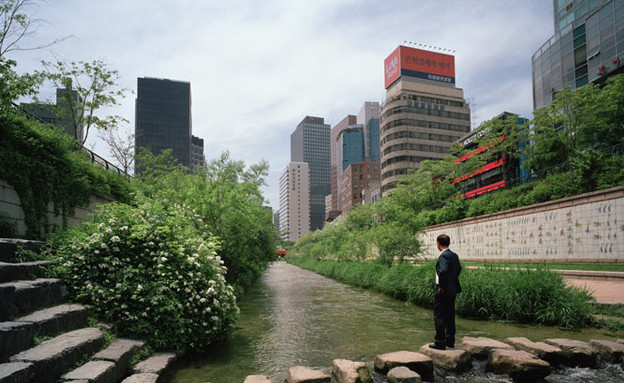 ריאות ירוקות מפתיעות חדש