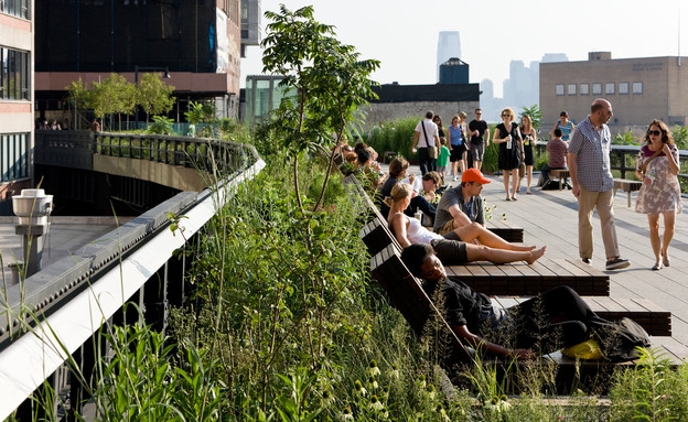ריאות ירוקות מפתיעות חדש