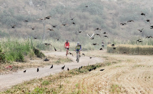 ריאות ירוקות מפתיעות חדש