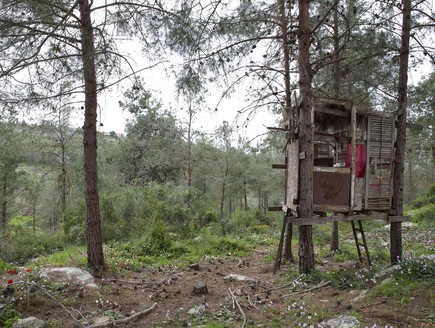 שמשית, בית עץ (צילום: הגר דופלט)