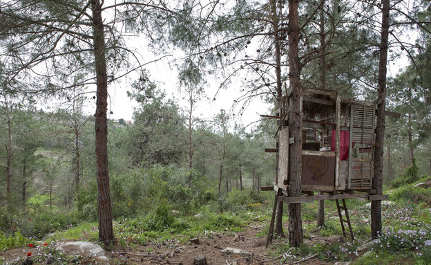 שמשית, בית עץ (צילום: הגר דופלט)