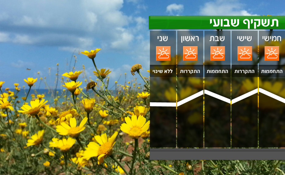 תשקיף תשקיף