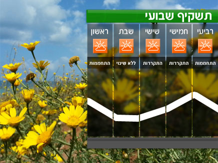 תשקיף