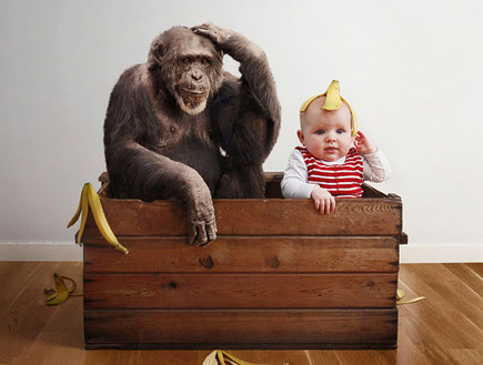 תינוקת שולטת - קוף (צילום: אמיל נייסטרום, מתוך אתר מאתר emilmedia.se, צילום מסך)
