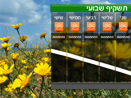 תשקיף