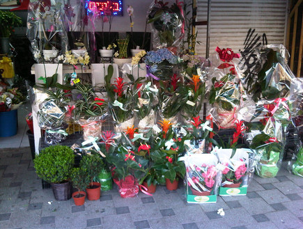 סיבוב קניות חיפה - פרחי גינצבורג (צילום: תומר ושחר צלמים)