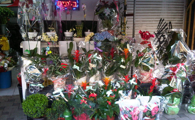 סיבוב קניות חיפה - פרחי גינצבורג סיבוב קניות חיפה - פרחי גינצבורג