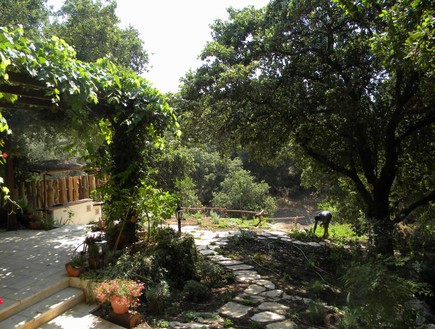 אריק פלג- My Garden גינה בטבעון - הוואדי - צילום- גידי לוי