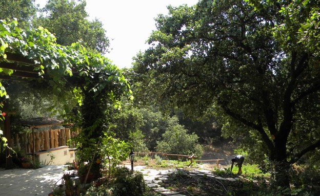 אריק פלג- My Garden גינה בטבעון - הוואדי - צילום- גידי לוי (צילום: My Garden)