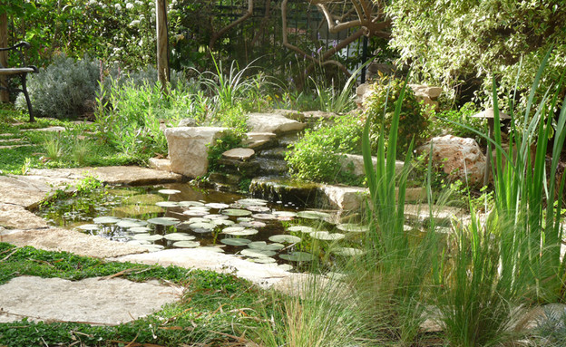 גינה בזכרון יעקב - הבריכה