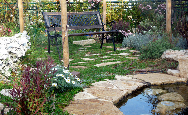 גינה בזכרון יעקב - הספסל בסוכת הגפנים