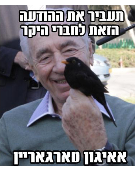 שמעון פרס בן 90, ממים (צילום:  Photo by Flash90)