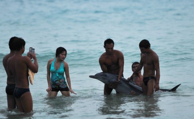 תיירים מרימים דולפין בסין (צילום: chinasmack.com)