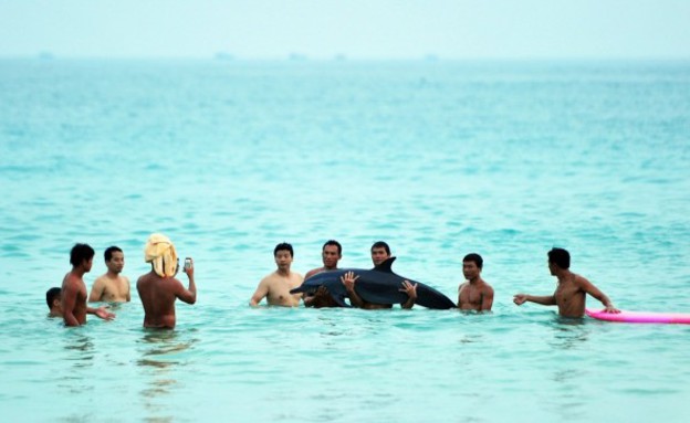 תיירים מרימים דולפין בסין (צילום: chinasmack.com)