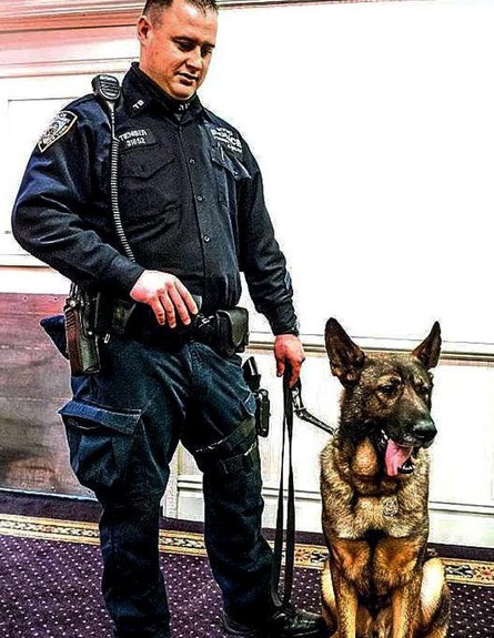 הכלב דב (צילום: NYPD)